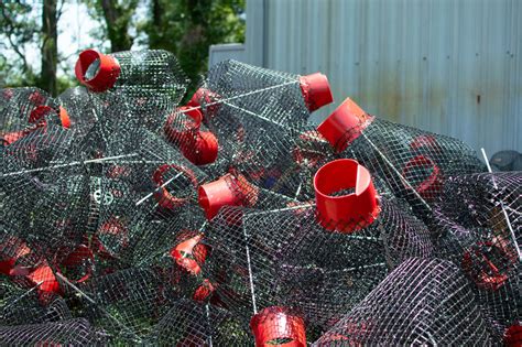 Setting Up Effective Crawfish Traps