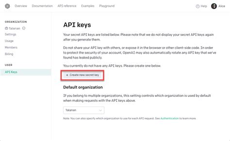 Setting Up Your API Key
