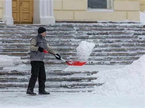 Expert Tips: Setting Up Your First Virtual Environment