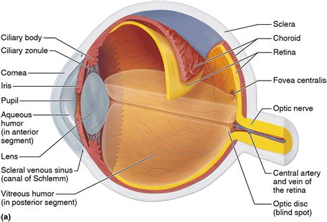 Setting Up Your King Eye System: A Simple Guide