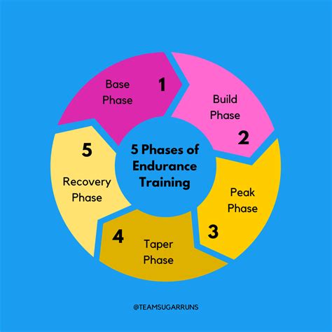 Setting Up the Training Environment