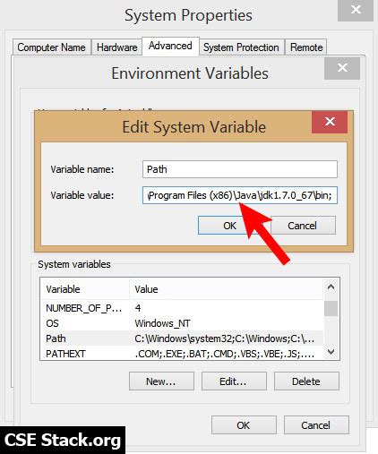Setting up Your Environment Variables
