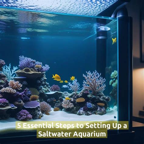 Setting up a Saltwater Tank for Dummies
