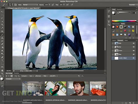 Setup Adobe Photoshop