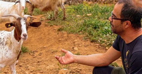 Seulo Farm Tour: A Delicious Product Tasting Review