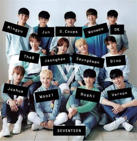 Seventeen Biodata