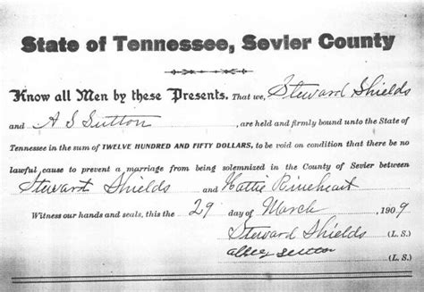 Get Hitched in the Smokies: Your Guide to Sevier County Marriage License