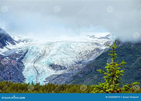Seward glacier view