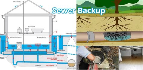 Sewer Line Backups