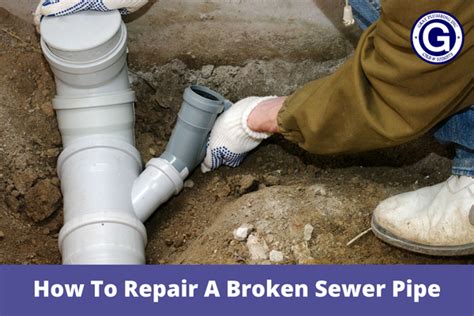 Sewer Line Repair Alexandria Broken Pipe