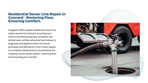 Sewer Line Repair Concord Guide