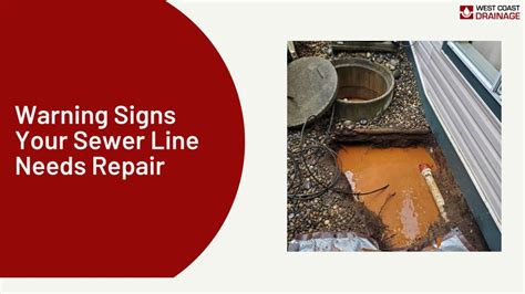 Sewer Line Repair Minneapolis: Warning Signs Image