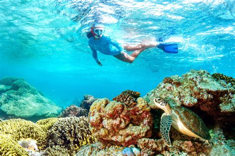 Seychelles Snorkeling