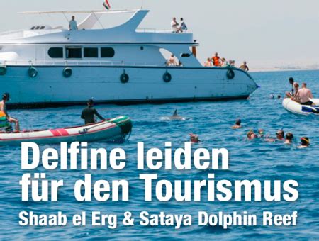 Shaab Sataya (Dolphin Reef)