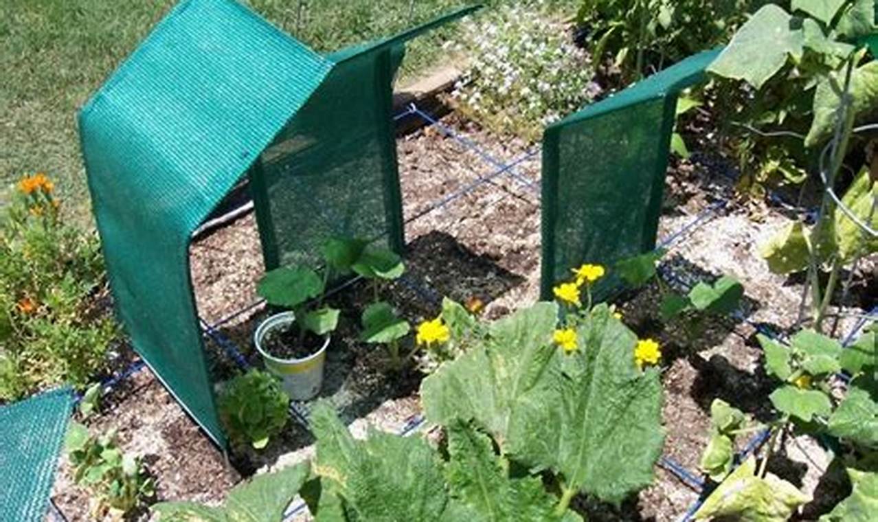 Shade Cloth For Plants
