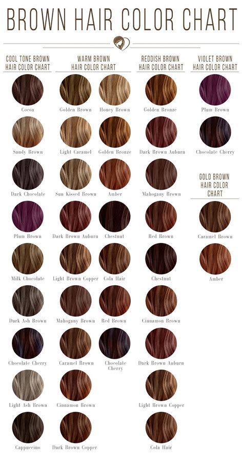 Shades Of Brunette Hair Color Chart