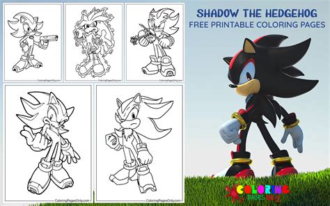 Shadow Color Page