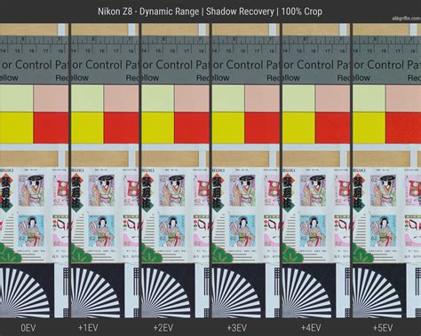 Shadow Recovery Test