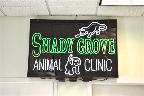 Discover Exceptional Pet Care at Shady Grove Animal Hospital - Your Trusted Vet in [City]
