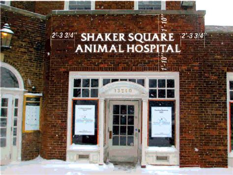 Trustworthy and Affordable Pet Care at Shaker Square Animal Hospital - Your Furry Friend Deserves the Best!