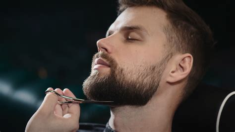 Shaping Up Beard