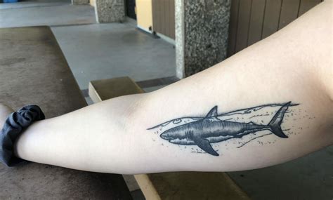 70 Hammerhead Shark Tattoo Designs For Men Deep Sea Ink