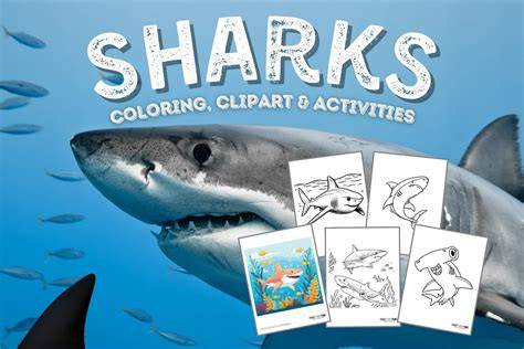 Shark Saver Coloring Pages