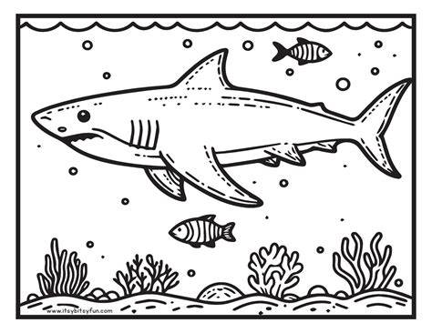 Shark School Coloring Pages