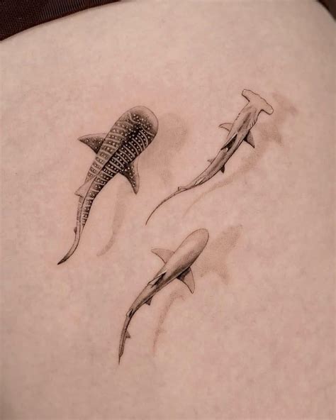 Shark Tattoo Meaning
