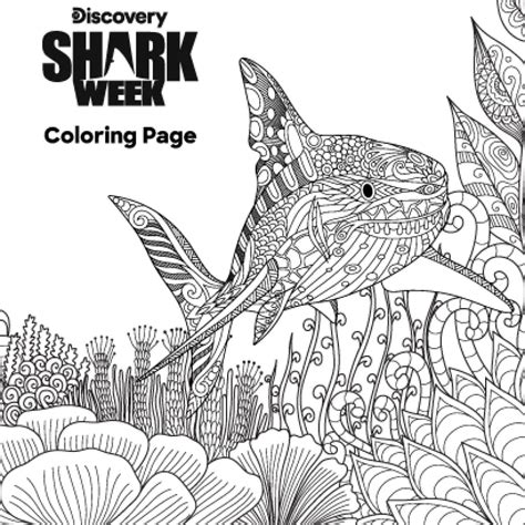Shark Week Coloring Pages Printable