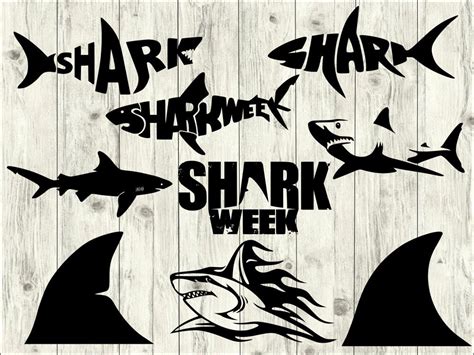 Make a Splash with Free Shark Week SVGs - Dive into Crafting Frenzy!
