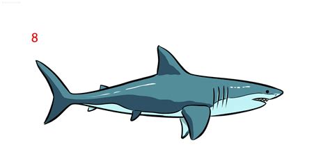 Sharks Draw