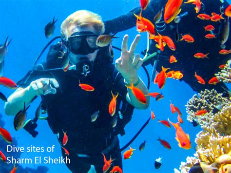 Sharm El Sheikh Dive Briefing