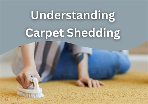 Shedding and Cleaning