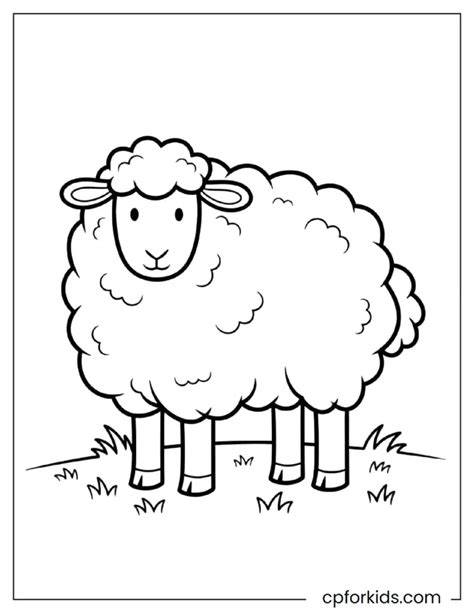 Sheep Coloring Pages Easy