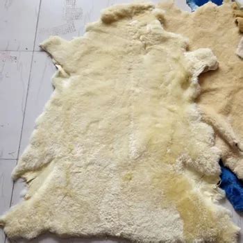 Discover the Luxurious World of Sheep Skin for Sale – Indulge in the Softness and Warmth from Your Own Home!