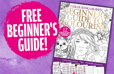 Sheets for Beginners and Advanced Colourists