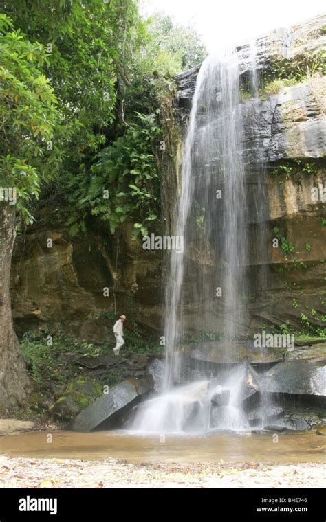 Sheldrick Falls