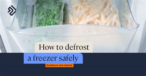 Shell's Guide to Defrosting Your Freezer Fast and Safely