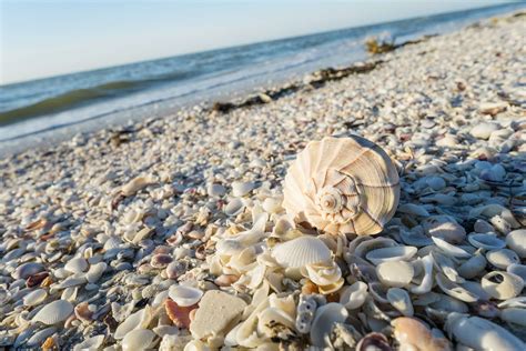 Pink Shell Beach Resort, Fort Myers Beach Vacation trips, Fort myers