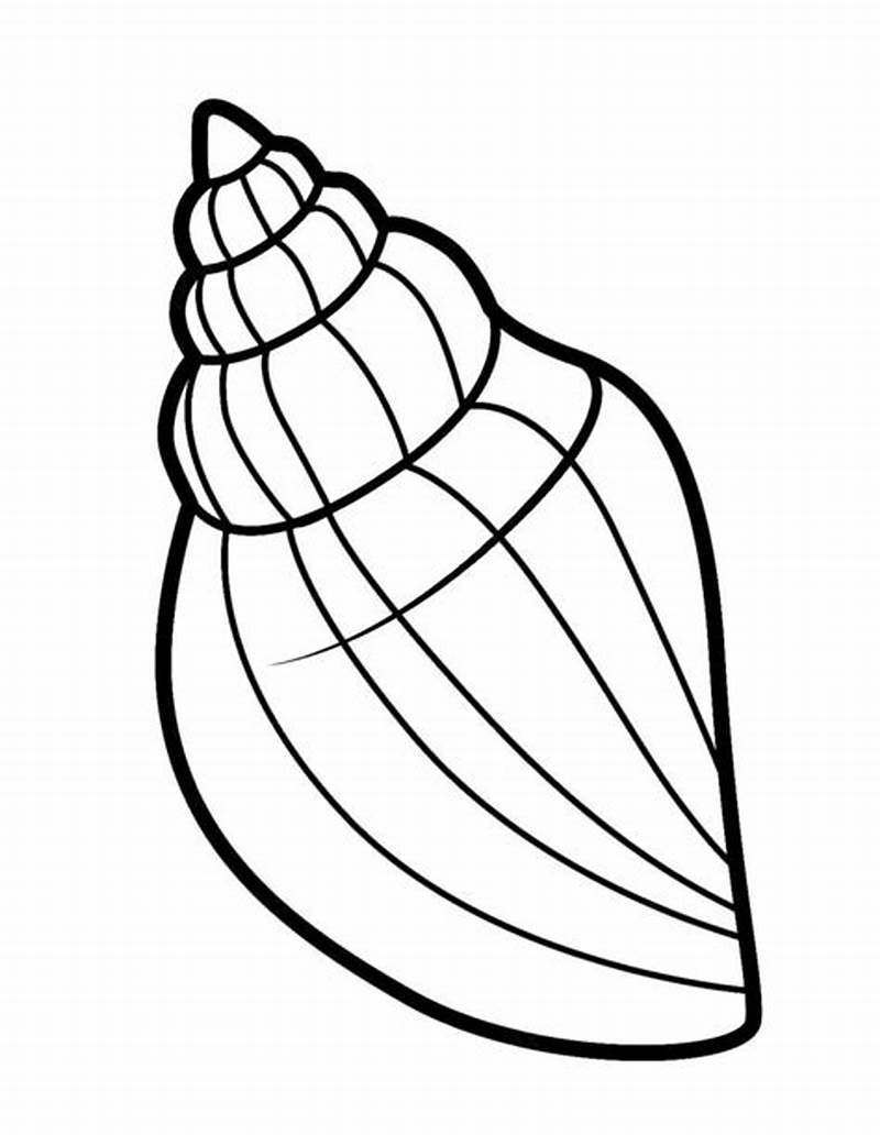 Shell Coloring Page
