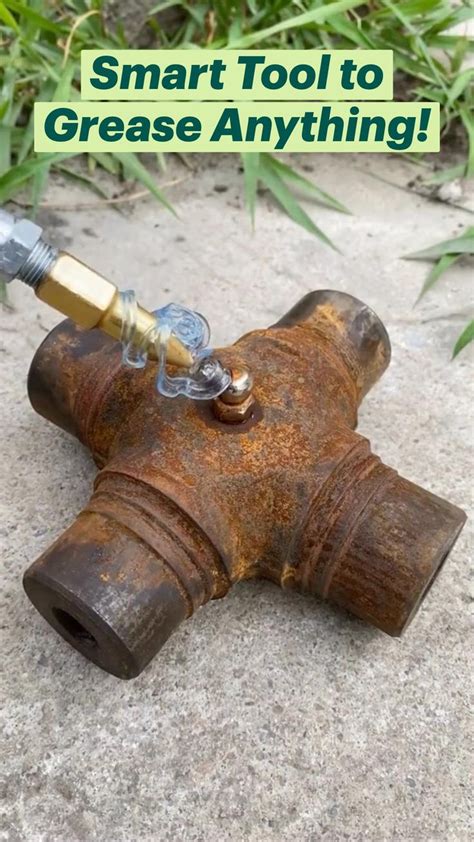 Shell Shocker This One Ingredient Will Remove Grease from Anything!