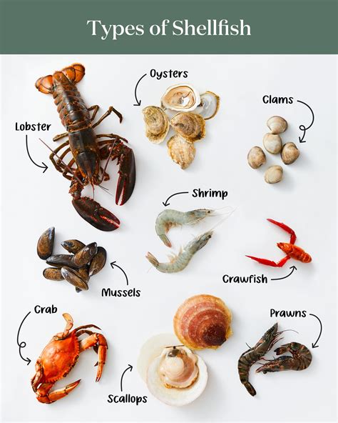 Shellfish: Boost Health, Deliciously & Easily.