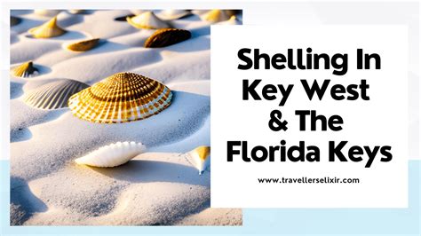 Shelling on Shell Key
