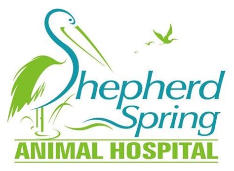 Shepherd Spring Animal Hospital: Caring and Comprehensive Pet Care Services in Your Area