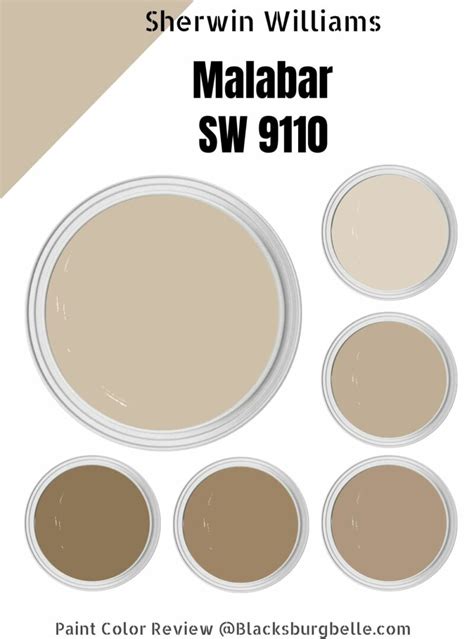 Sherwin Williams Paint Color 9110