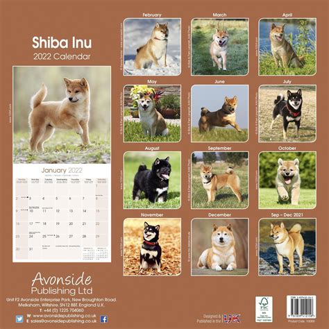 Shiba Inu Calendar