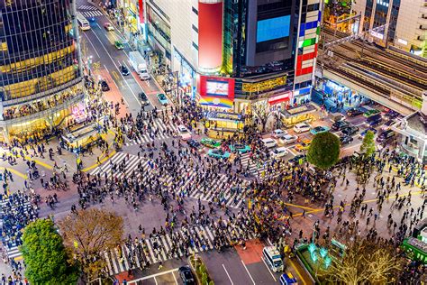 Shibuya Scramble Crossing Jepang