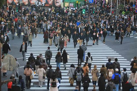 Shibuya Crossing Safety
