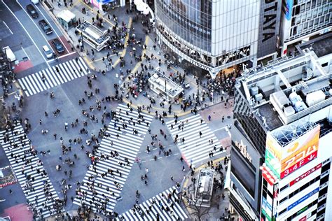 Shibuya Crossing View